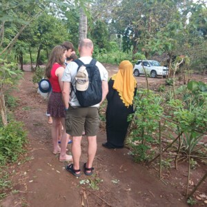 Tour Spice service in Zanzibar