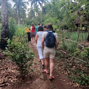 Spice Tour service in Zanzibar