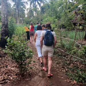 Spice Tour service in Zanzibar