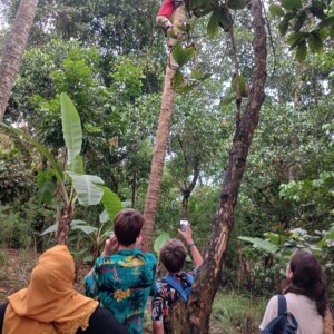 Spice Tour Zanzibar Guide