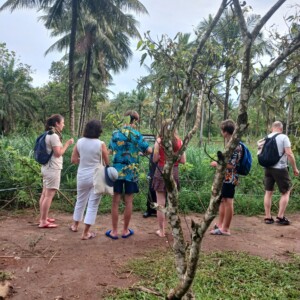 Spice Tour Guide services in Zanzibar