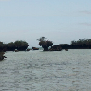 safari tour in Zanzibar