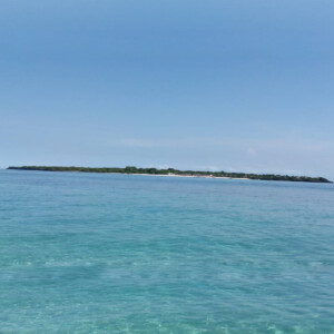 Sea safari tour in Zanzibar