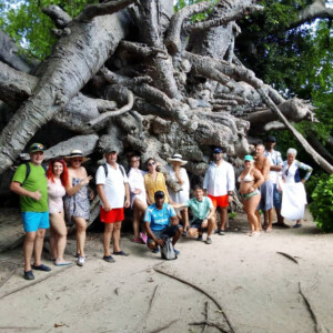 Tour safari in Zanzibar
